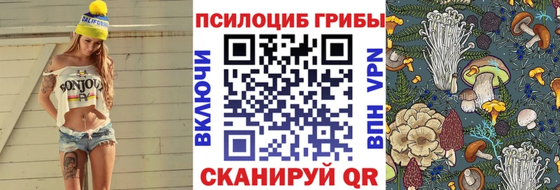 Купить где  Губаха  Псилоцибиновые грибы Magic Shrooms 